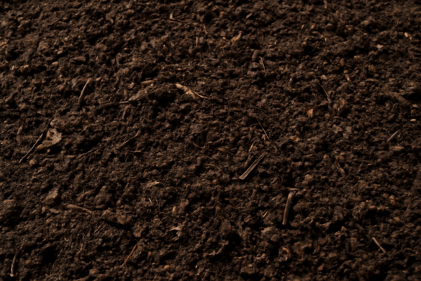 organic compost