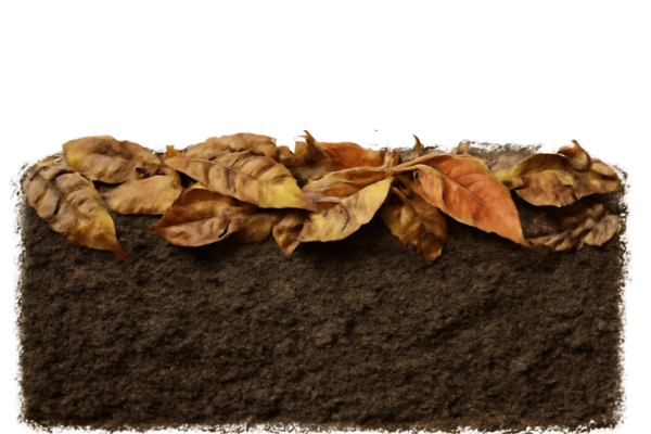 mulch for your garden