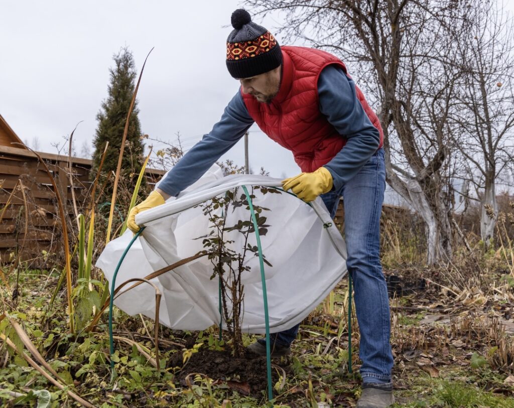 winter landscape materials guide