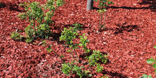 premiuim mulch chicago suburbs